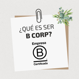 ¿Qué Es B Corp? - Bolsalea